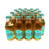 Goldberg & Sons - Ginger Ale 1 Goldberg & Sons - Ginger Ale -Der Schnapsstodl Verkäufe GoldbergGingerAle24Sparset