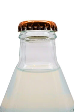 Goldberg & Sons - Ginger Beer 13 Goldberg & Sons - Ginger Beer -Der Schnapsstodl Verkäufe GoldbergGingerBeer4