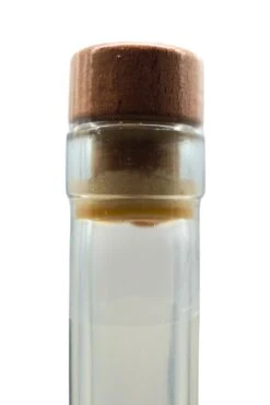 Stamperla - Haselnuss Sahnelikör -Der Schnapsstodl Verkäufe StamperlaHaselnussSahnelikr4