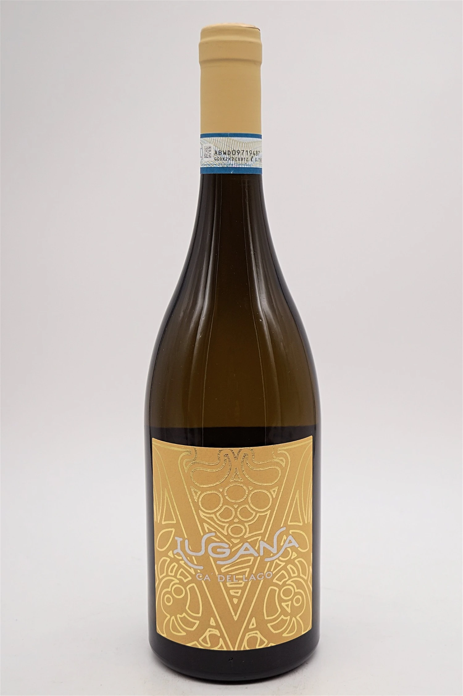 Villa Cordevigo - Lugana Ca Del Lago 2022 3 Villa Cordevigo - Lugana Ca Del Lago 2022